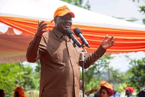 AzimioQueen's tweet photo. The Rt @RailaOdinga is Currently meeting @TheODMparty delegates in Vihiga! https://t.co/UWkBZEcCzZ