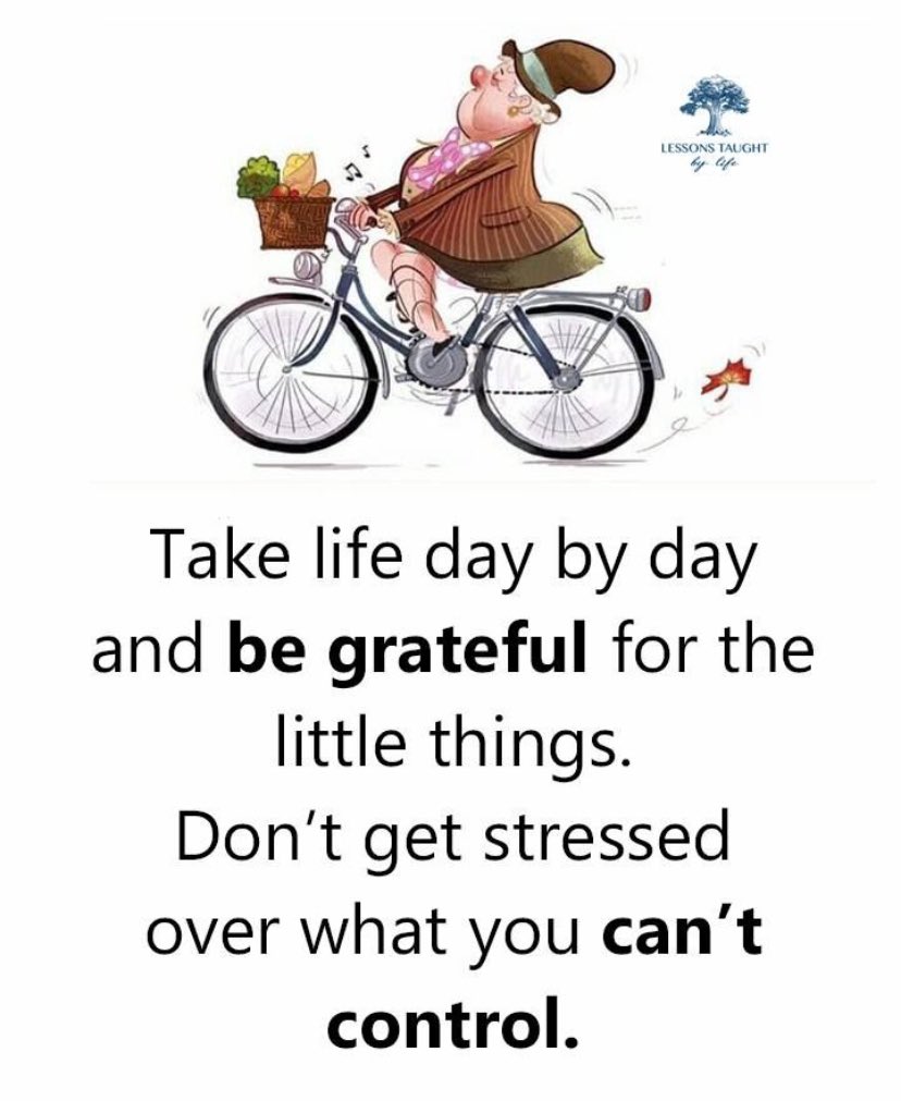 Goto_paulcastle's tweet photo. Life is a daily journey, each step a chance to appreciate tiny treasures. Release the burden of the unmanageable, like shedding unnecessary baggage. #GratitudeRevolution https://t.co/dtcvTN8x7r