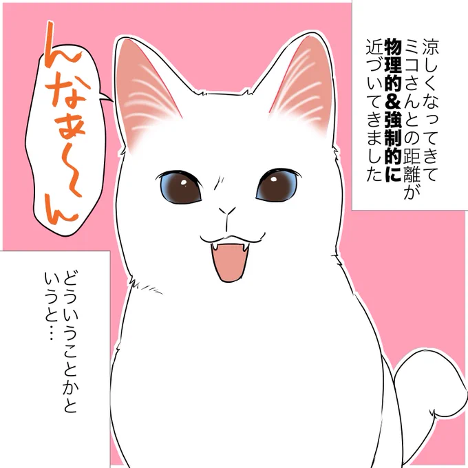 💥🤛強引に甘えてくる猫の話🐈😂
(1/2)
 #漫画が読めるハッシュタグ
 #愛されたがりの白猫ミコさん 