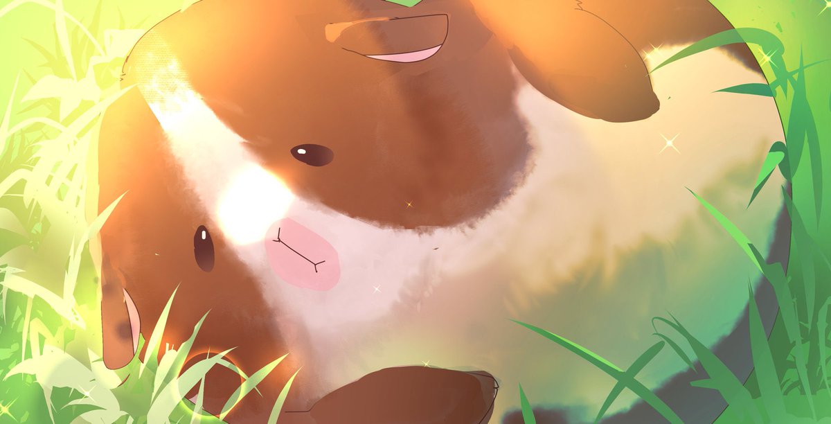 モルモ@モルモット系Vtuber🐹🏙️☀️ tweet media