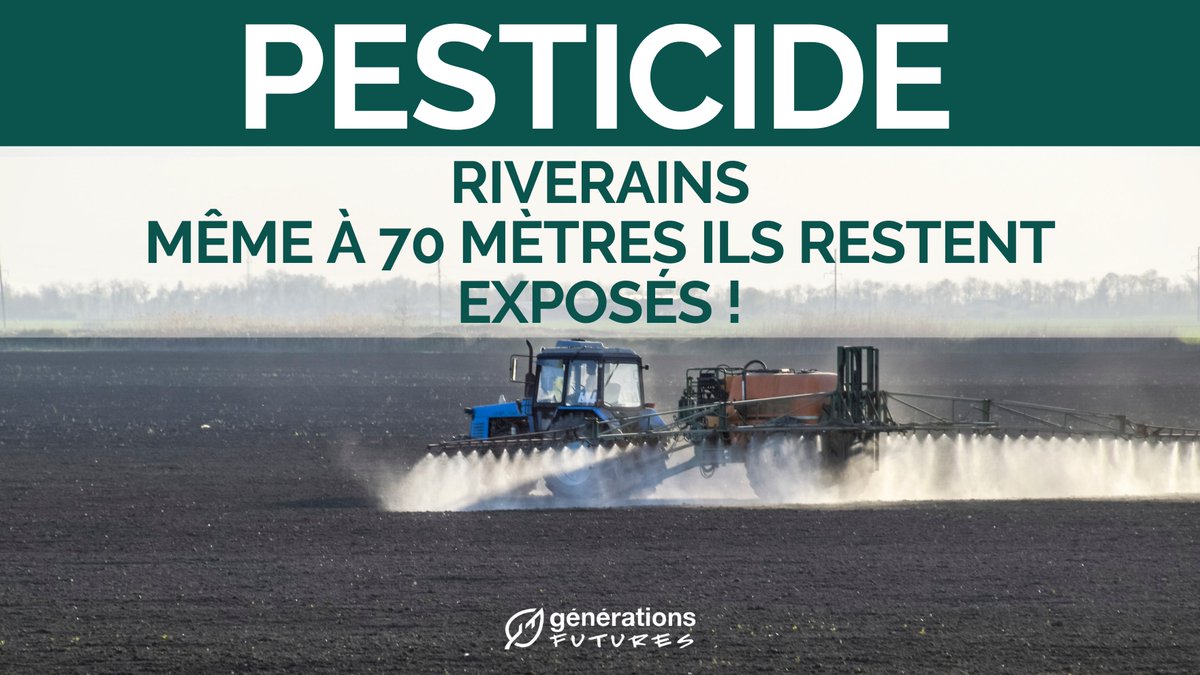 1/ 💨 Riverains exposés aux pesticides : même à 70 m, la protection est loin d'être assurée ! Nous publions un nouveau rapport, révélant que des distances de plusieurs dizaines de mètres en zone agricole ne protègent pas suffisamment contre l'exposition aérienne aux pesticides.