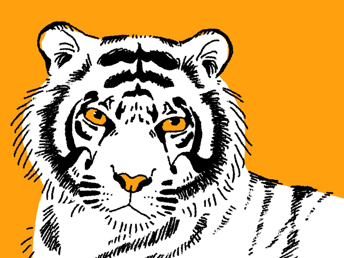 たまきち@書籍販売中 tweet media