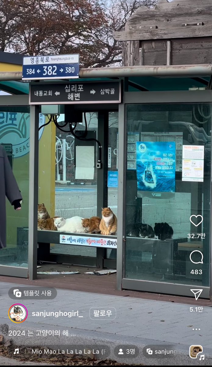 ㅋㅋㅋㅋㅋㅋㅋㅋㅋㅋㅋㅋㅋㅋㅋㅋㅋㅋㅋㅋㅋㅋㅋㅋ 그래 거기 따숩지 ㅋㅋㅋㅋㅋㅋㅋㅋㅋㅋㅋ 아유 똑또기들 ㅋㅋㅋㅋㅋㅋㅋㅋㅋㅋㅋㅋㅋ