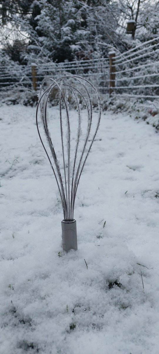 Natuurarts's tweet photo. Goede tip van Sam Turner, @Paws4Fun1, gebruik een garde om de sneeuwklontjes uit de vacht te kloppen. Werkt super. #sneeuw #vacht https://t.co/lkIhiq0hyo