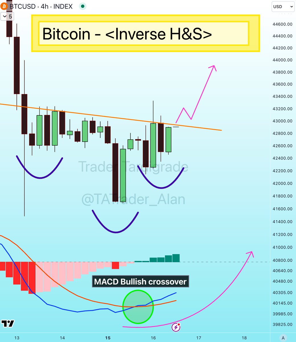 Scott Leon tweet media