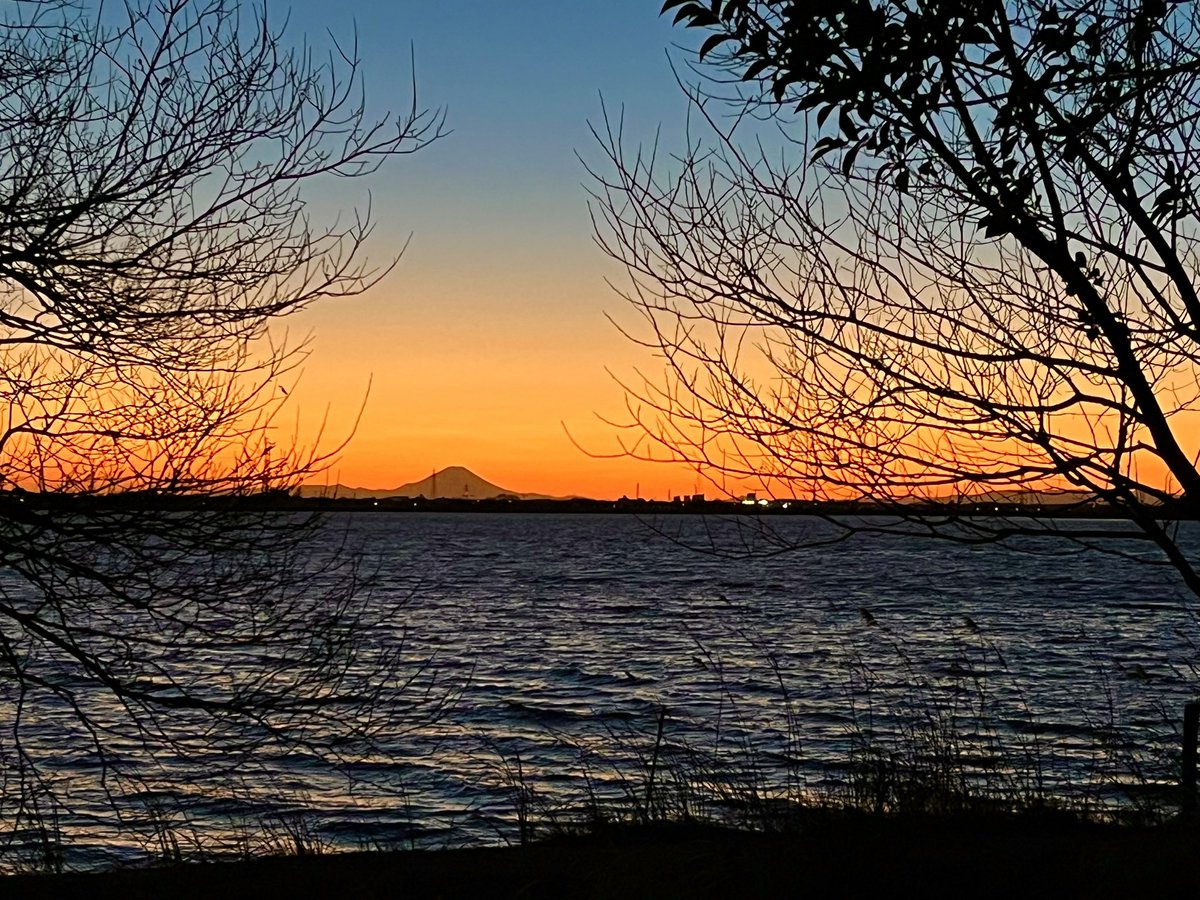 DAISUKEキャンプ大好き△ tweet media