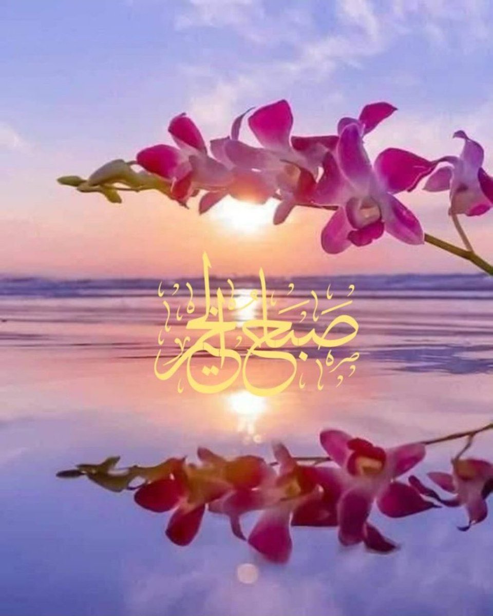 حمود tweet media
