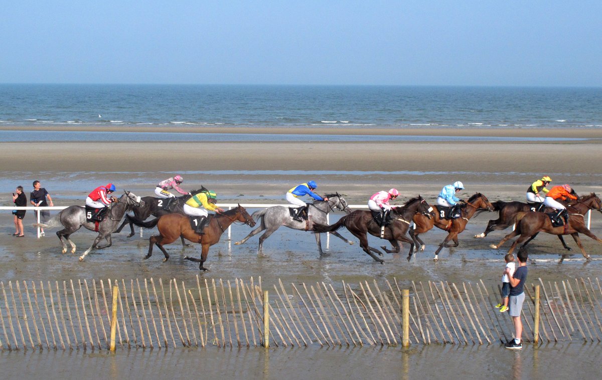 🇮🇪 En Irlande, les courses hippiques sont une véritable institution et l'île possèderait certains des chevaux les plus performants d'Europe. C’est aussi aux courses que  se donnent rendez-vous la classe politique et le monde des affaires. 

🎧 Reportage de <a href="/ClemencePenard/">Pénard Clémence</a> à 12h10