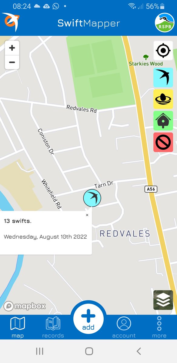 bandbswifts's tweet image. Can anyone in #Bury confirm whether there is a Swift colony on the Redvales estate? Look at this record from #swiftmapper screaming party of 13 #Swifts 2022! If this is Six Town Housing estate its vital we let them know.
#Swifts #UrbanBiodiversity @cllralanquinn