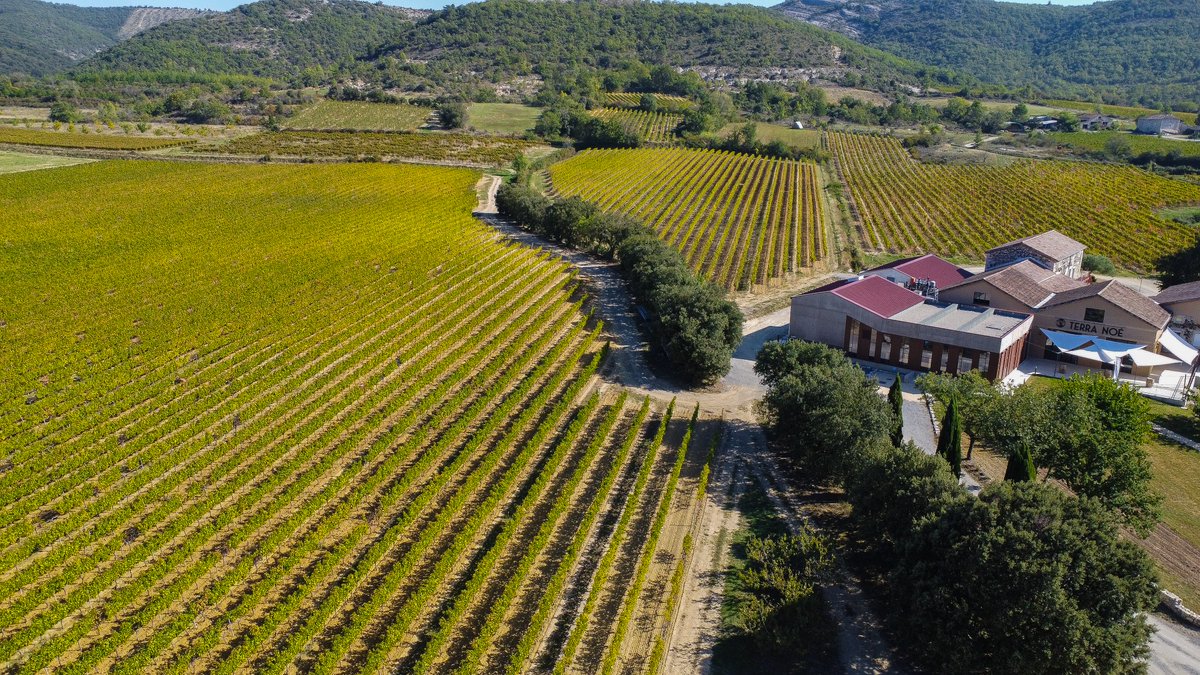 Saveurs de #truffes et #vins d’#Ardèche : sam. 17/02 au #DomaineTerraNoé 🍷
💥 9h/11h15 : activité truffe chez Gérard Blaye à St Sernin
🍷 11h30/13h : visite du #Domaine + atelier vin et beurre/fromage truffé
✨ 28€/personne - places limitées 
👉Résa : urlz.fr/phBW