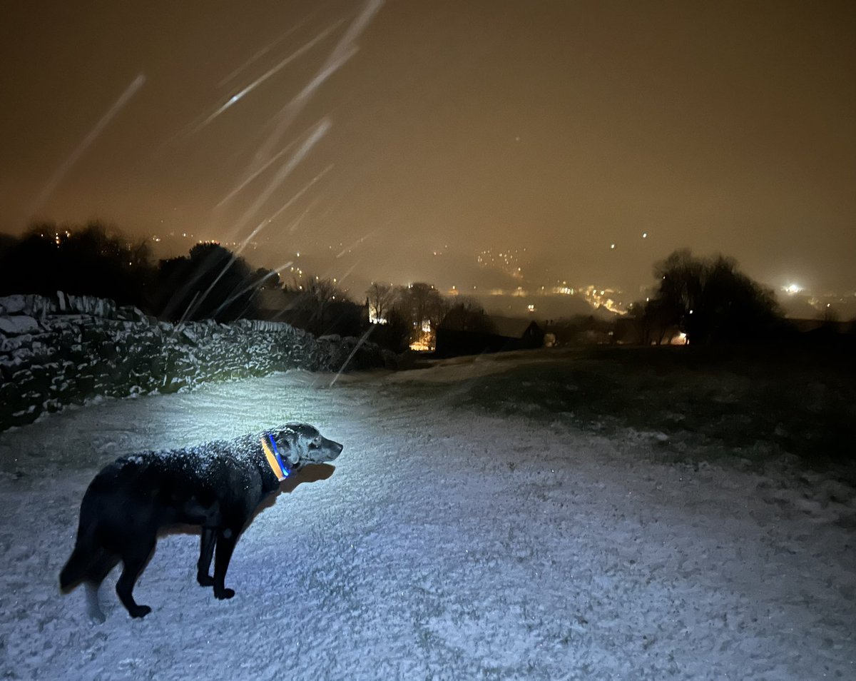 andyb066's tweet photo. Good morning @runningpunks Couple more beastie boy miles in the #rebelsrelay bag on a Rush, Fly by Night kind of morning. Just call me By-Tor @CCfunkandsoul @BipolarUK #poletopolechallenge #muddymilesformegs #runningpunks #brokenpunks #walkingpunks https://t.co/fyXqV9EBwk