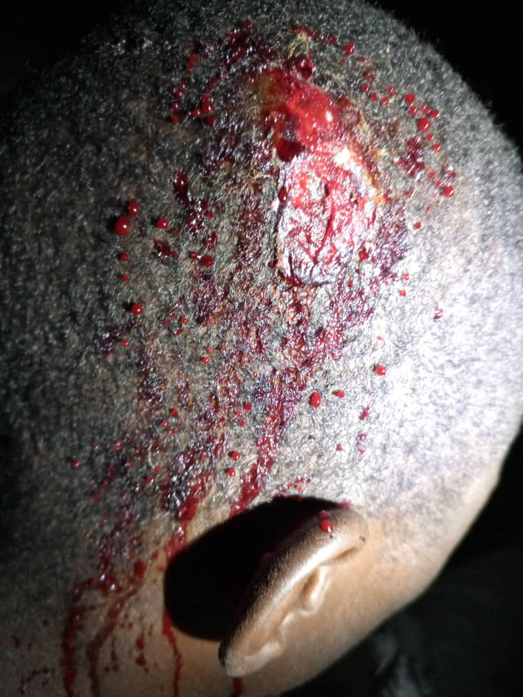 KOIKIMEDIA tweet media