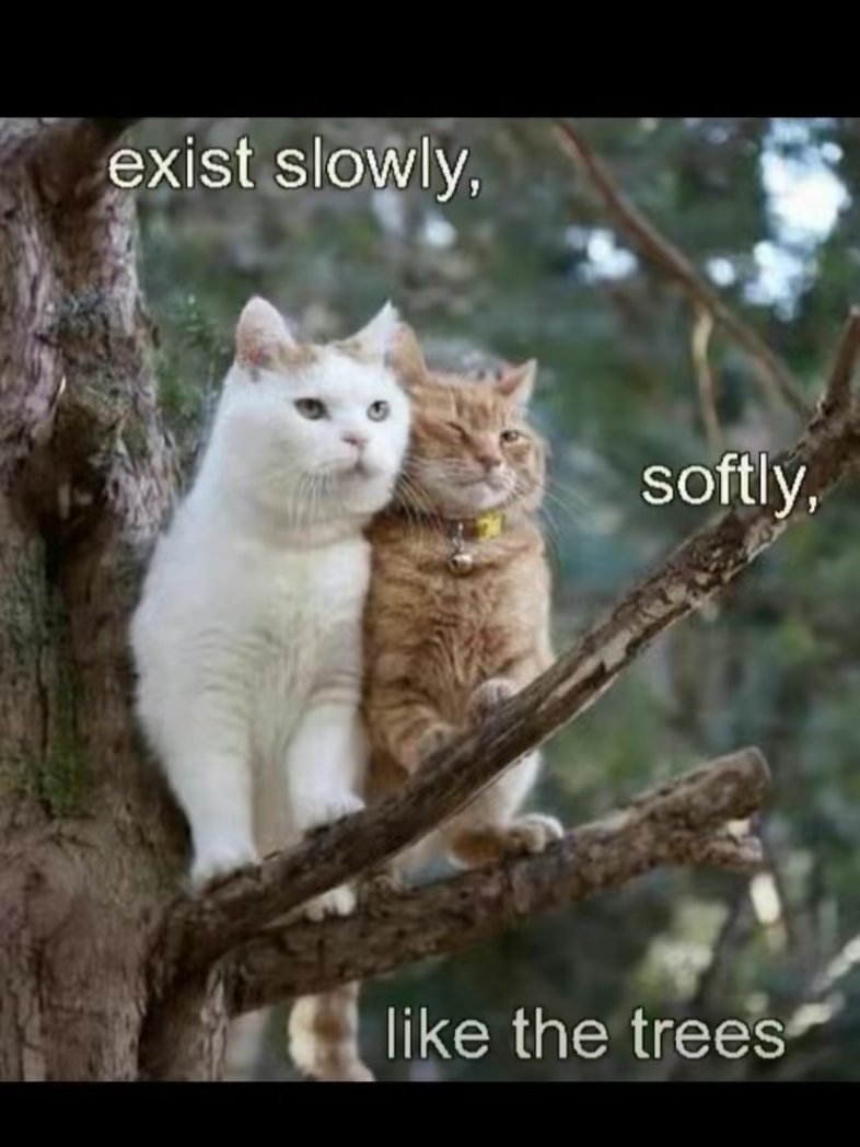 Новый год, новый сбор!Мы вновь собираем деньги на покупку лекарств и средств гигиены для граждан Украины находящихся в пвр Члб или проезжающих через него!
В данный момент требуется ~10к
ТИНЬК 2200700111282769 (Анастасия Н.)
Эфириум счёт: 0x03336ee19E1bFE1CE481eDB53a179CF07Af39b72