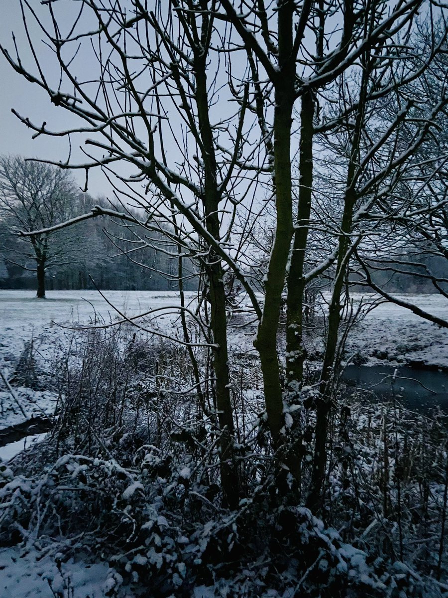ShelleyBooth's tweet photo. The most wonderful way to start the day… #lancashire #snow #earlywalk https://t.co/8OHXMW2mmZ