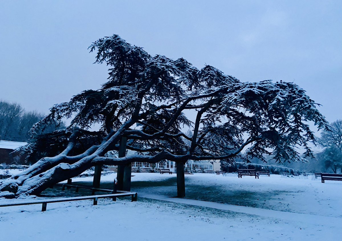 ShelleyBooth's tweet photo. The most wonderful way to start the day… #lancashire #snow #earlywalk https://t.co/8OHXMW2mmZ