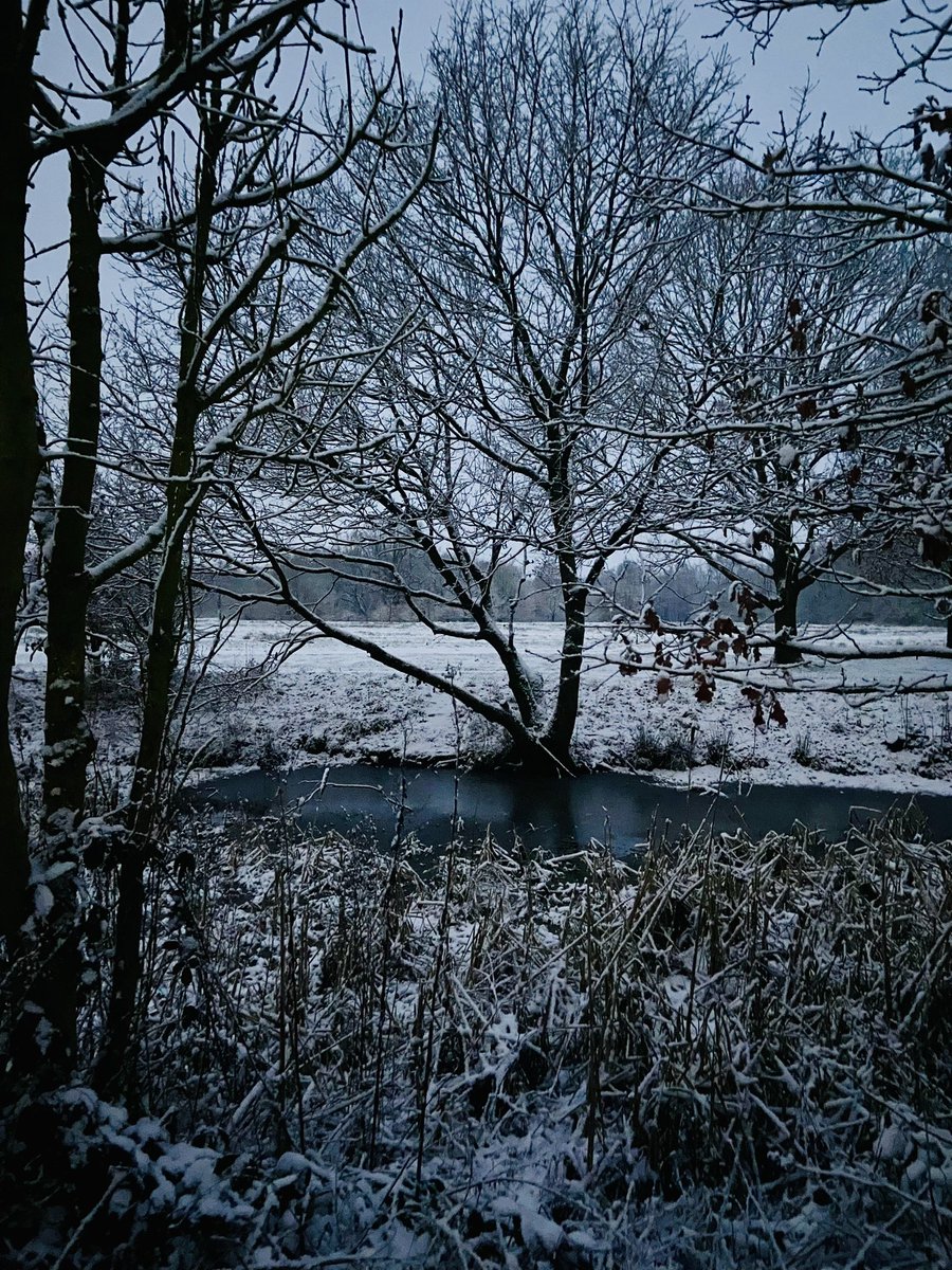 ShelleyBooth's tweet photo. The most wonderful way to start the day… #lancashire #snow #earlywalk https://t.co/8OHXMW2mmZ