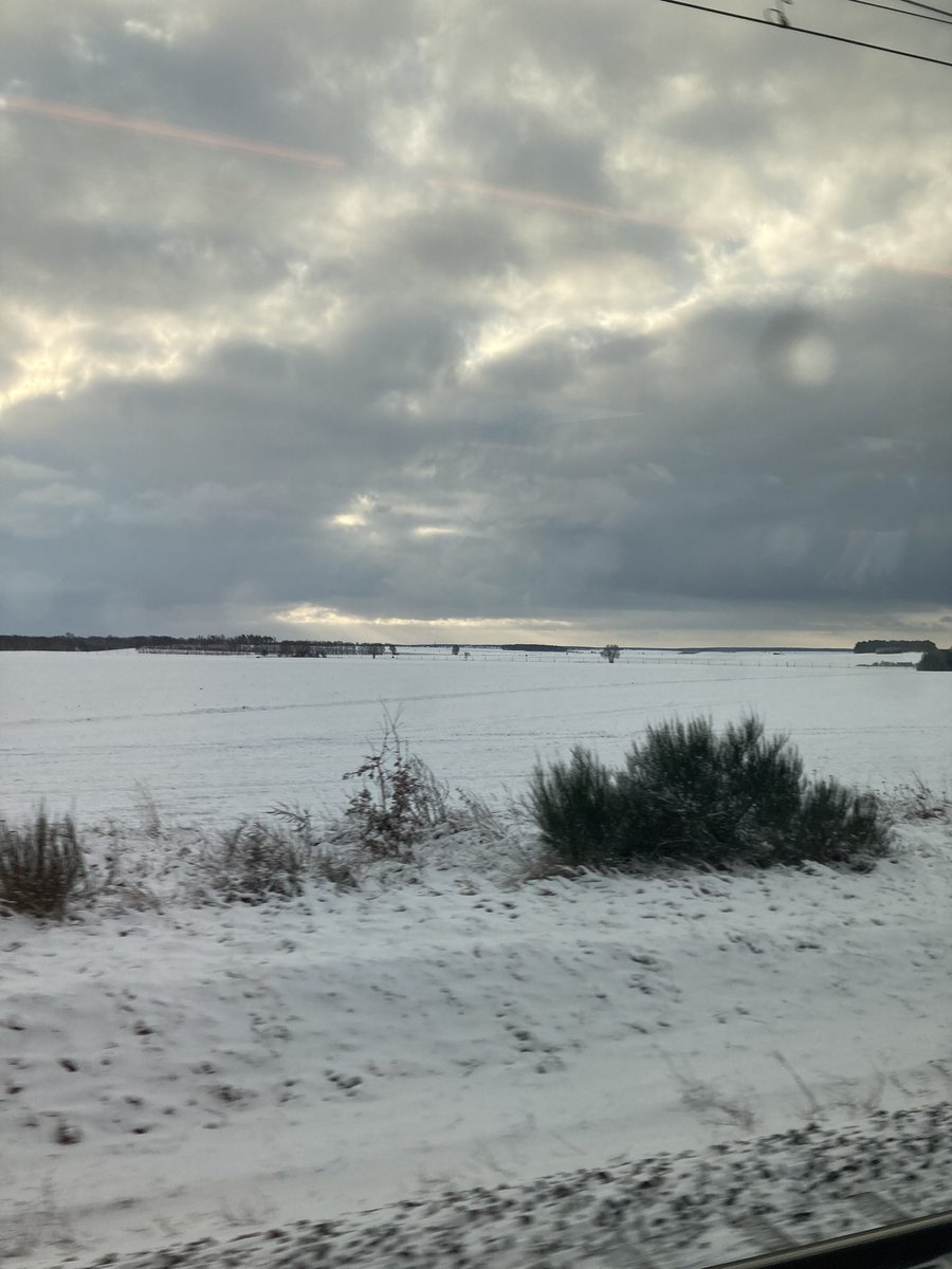 Carmen Maria Parrino tweet media