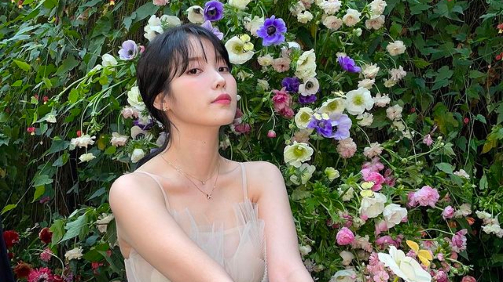 Birth on sale flower korea