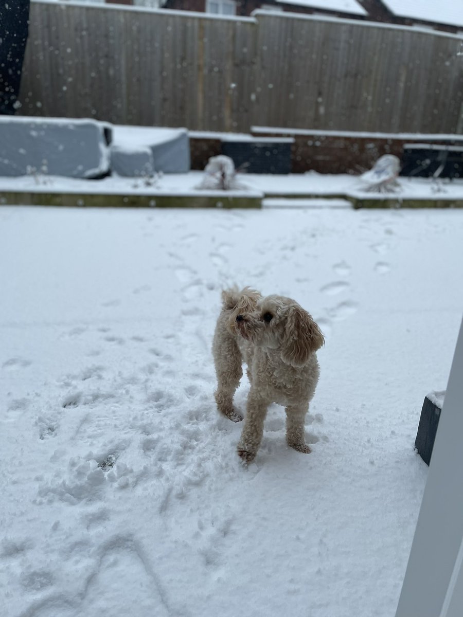 Gary Sullivan Redpath tweet media