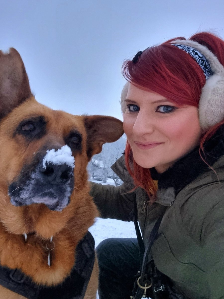 Early morning fun in the snow ❄️🌨️🐾 #Preston #snow