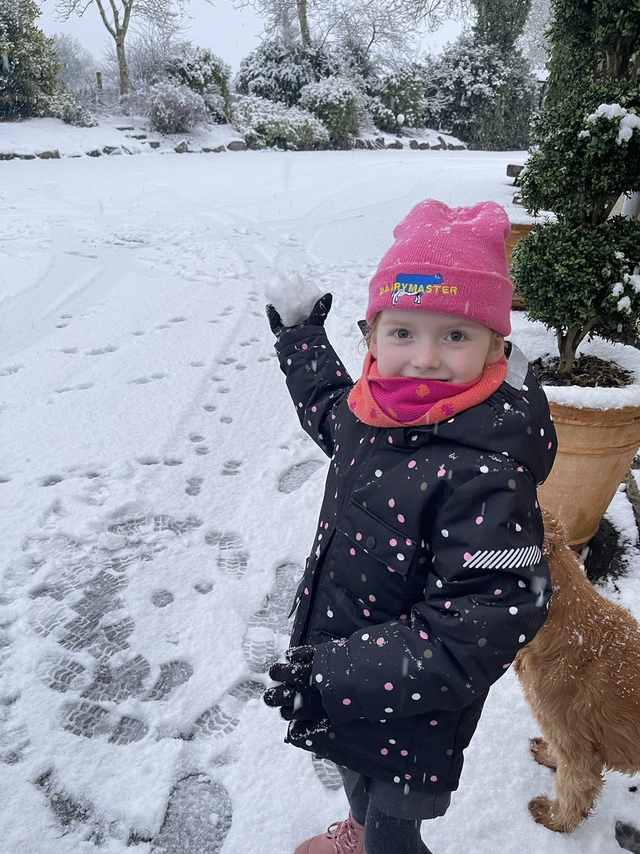 Hard to beat a wee bit of snow for the kids <a href="/dairymaster/">Dairymaster</a>