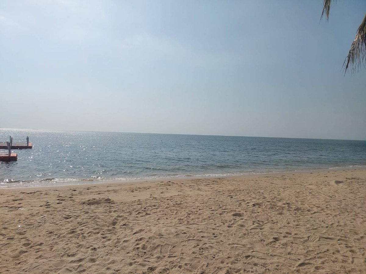 pongdate4's tweet photo. พาน้องเที่ยว สบายตัว... https://t.co/aO3gXxrnGN