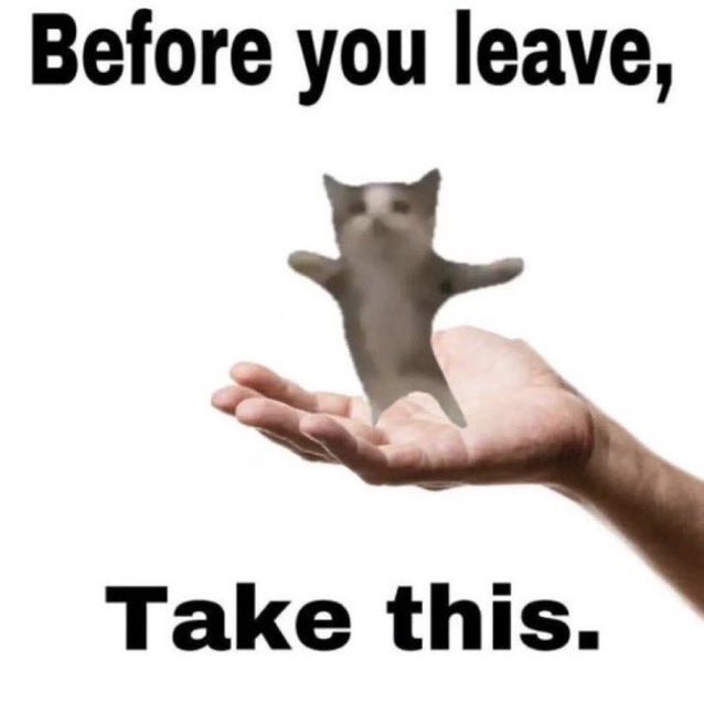 catmemeco's tweet photo. Hello everyone on this Tuesday ! 
#catoftwitter https://t.co/HgMake2pO7