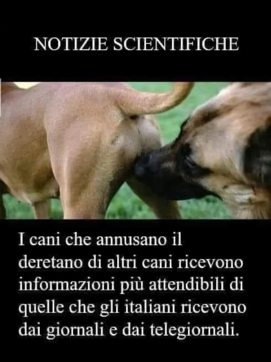 AleCom83's tweet photo. Sono molto più attendibili i nostri amici a 4 zampe.....🤣🤣🤣🐕‍🦺🐕‍🦺🐕‍🦺 https://t.co/7n3WRtswlT