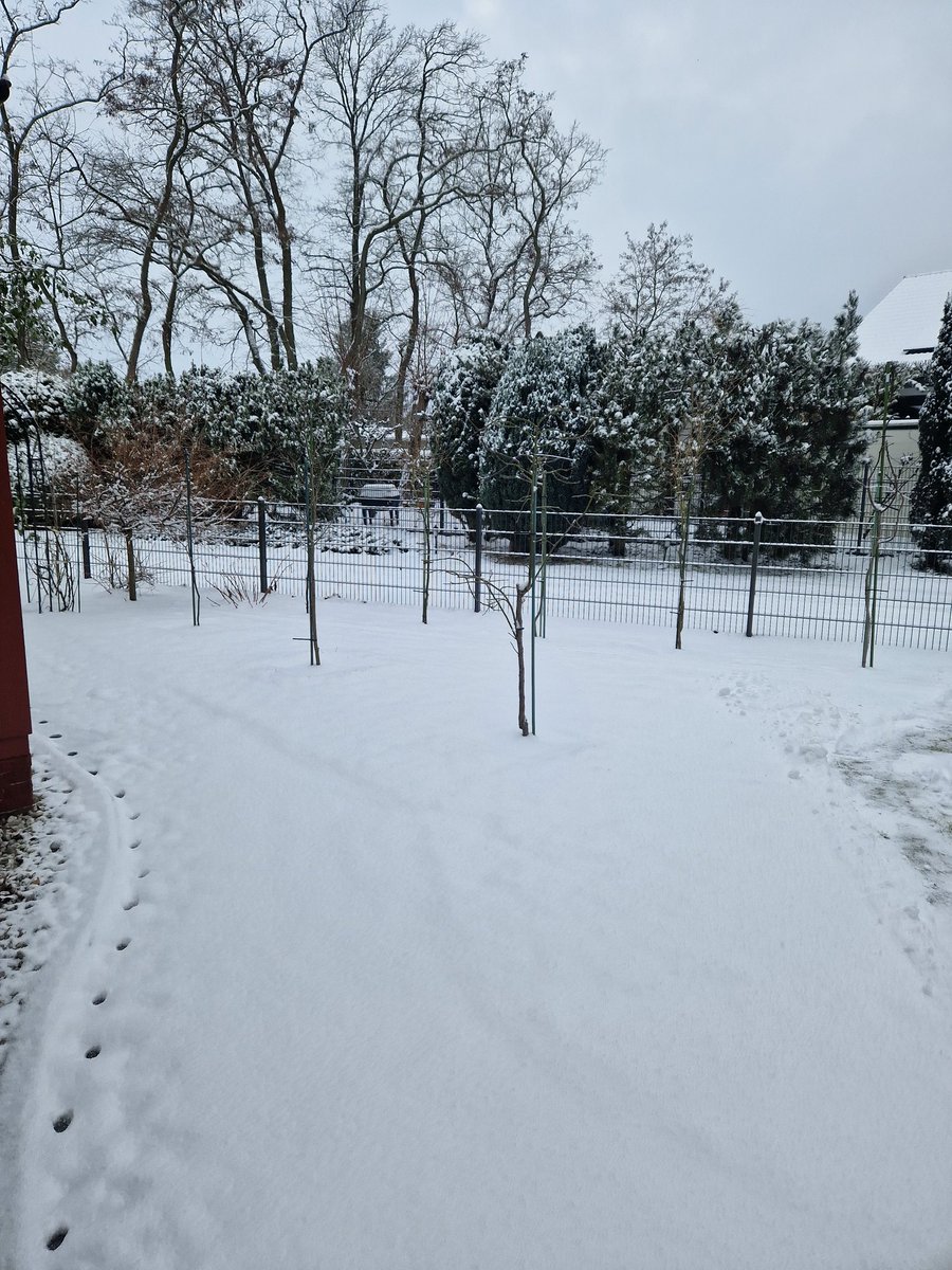 Angelika tweet media