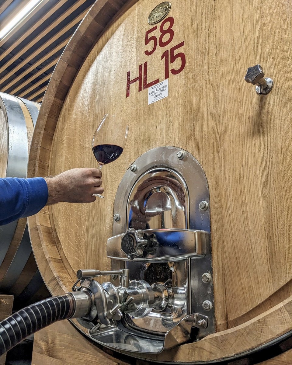 The excellence of Elvio Cogno's Barbera d’Alba Pre-Phylloxera 2022 is about to reveal itself!

Wood aging is completed, and this extraordinary wine will soon be among us.

#elviocogno #prephylloxera