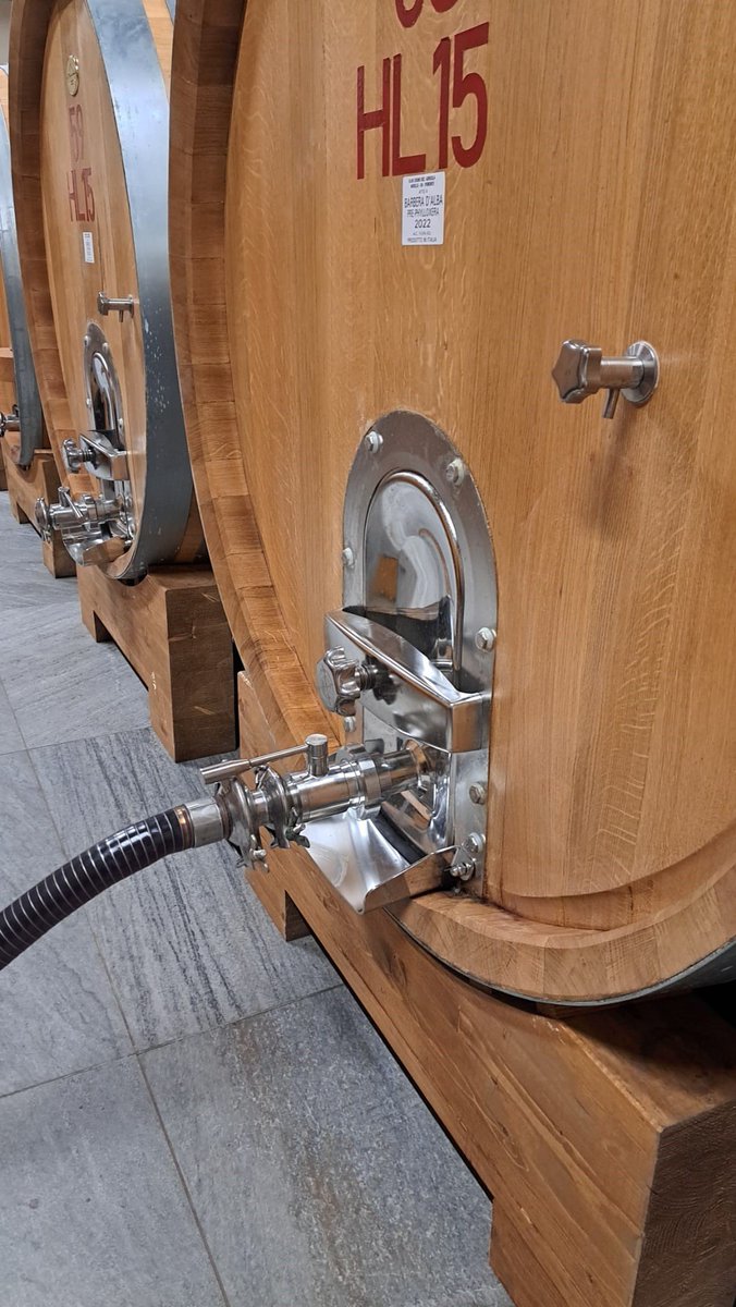 cognowines's tweet photo. The excellence of Elvio Cogno's Barbera d’Alba Pre-Phylloxera 2022 is about to reveal itself!

Wood aging is completed, and this extraordinary wine will soon be among us.

#elviocogno #prephylloxera https://t.co/RQDDgc0woc
