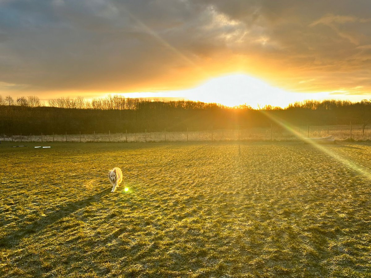 What a gorgeous start here at the sanctuary @NNweather ☀️ 🥶