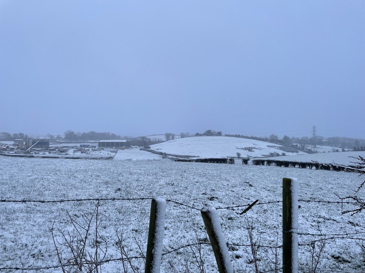 ProfMPatterson's tweet image. Feeling like winter in Carryduff