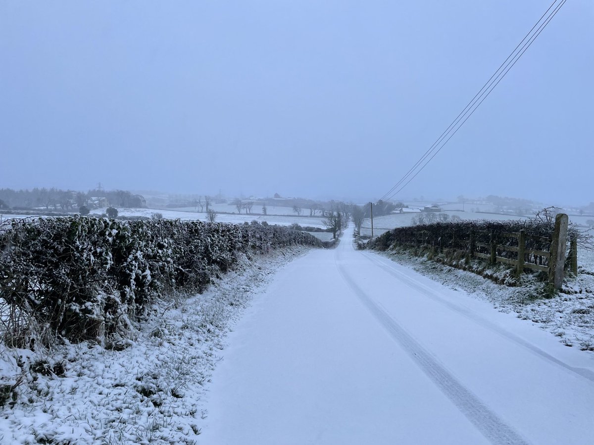 ProfMPatterson's tweet image. Feeling like winter in Carryduff