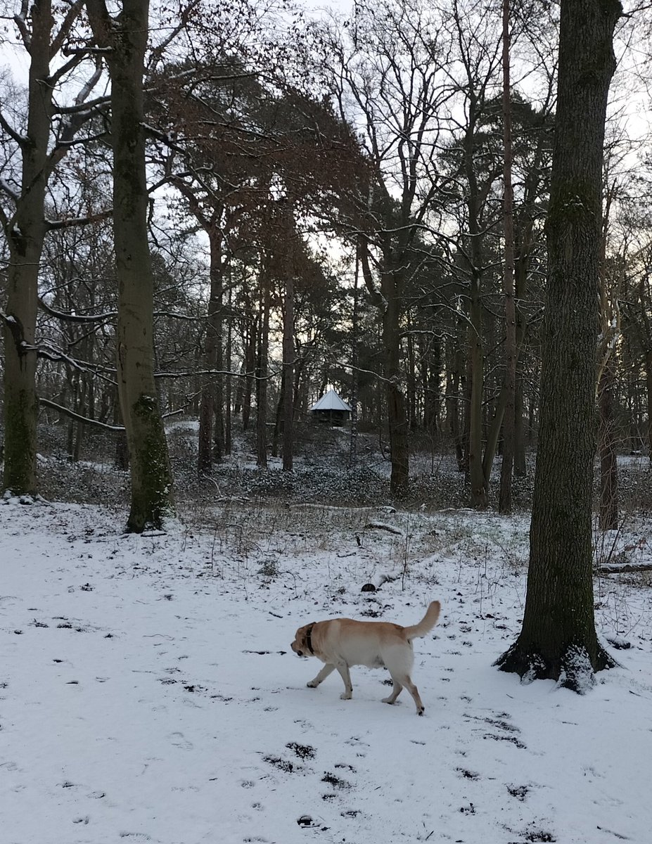 hwtec's tweet image. #sneeuw #groenendaal#heksenhuisje