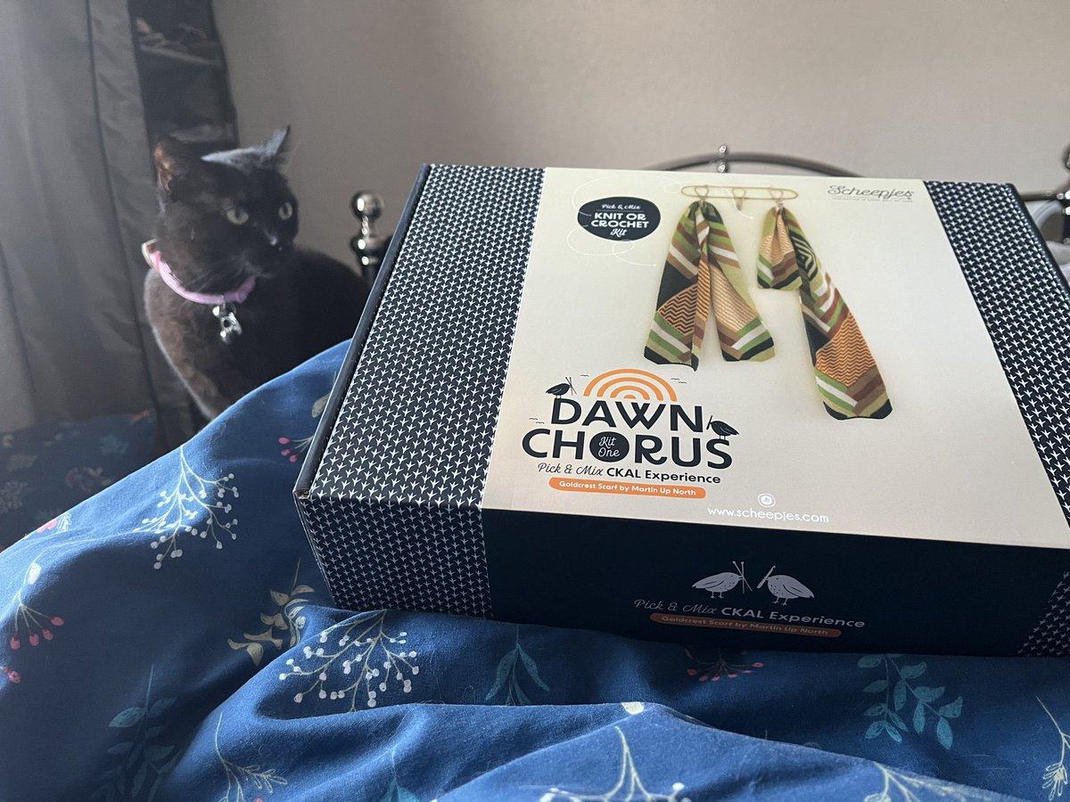 dawnlovesgreece's tweet photo. Cup of tea in bed while me and #BettyKitten🐈⬛ examine this beauty that the postman has just delivered @martinupnorth1 #scheepjes With a name like Dawn Chorus how could I not? #ego 😹 https://t.co/0ck04s2PoX