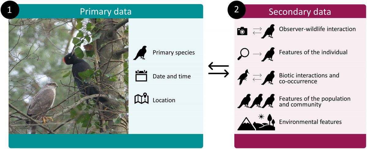 Ivan Jaric | from now on at @ivanjaric.bsky.social tweet media