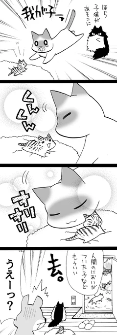 四コマ「祖父んちの隣人が多頭飼育崩壊した話23」  #猫 #四コマ漫画 #御かぞくさま御いっこう