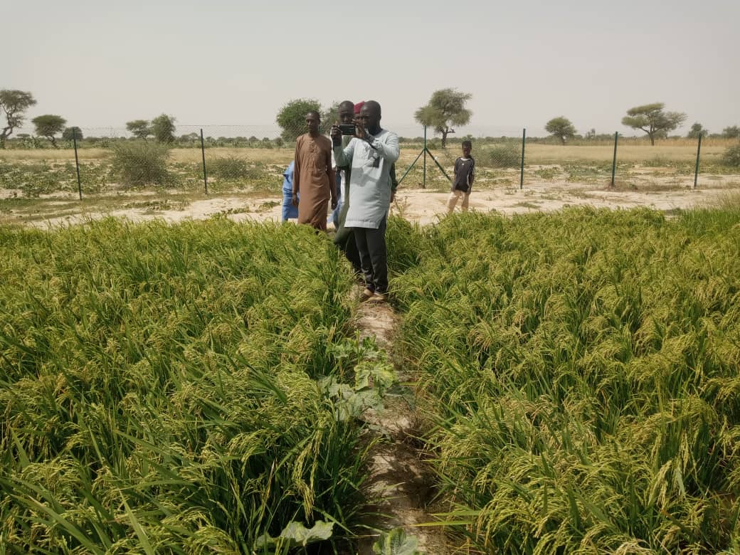 WHH Niger-Welthungerhilfe tweet media