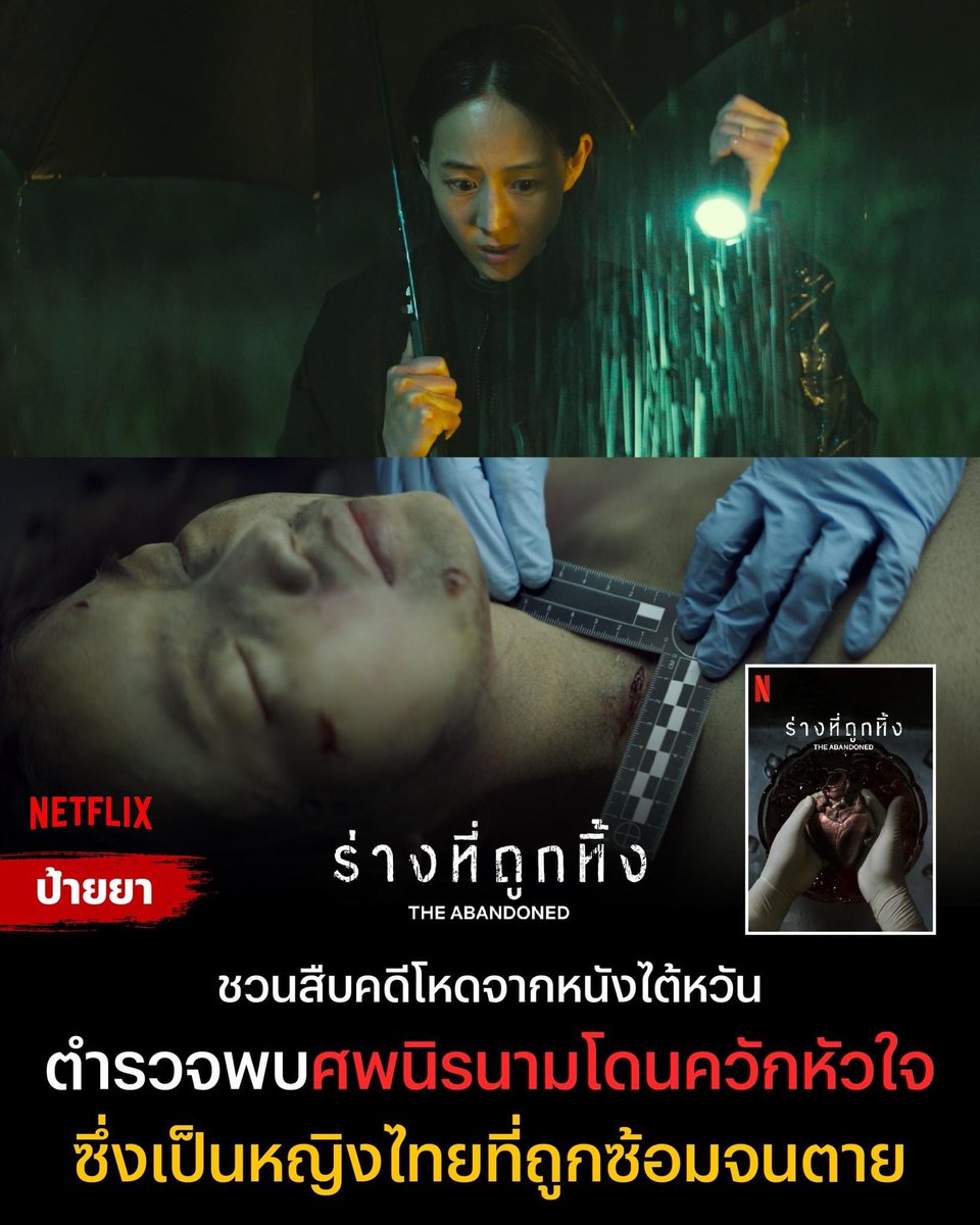 𓄹𓈒🐈 ˖࣪ᝰ netflix 🤸🏼‍♀️. ࣪˖🧃

7 days    /  50 thb
30 days /  120 thb

⛳️🥣 DM or  lin.ee/qyqUi3W  🐰❔ 
꒰ ฟอลก่อนเดมตอบไว 3o0%❕꒱

#หารเน็ตฟลิกซ์ #หารเน็ตฟลิกซ์ราคาถูก #หารnetflixราคาถูก #หารnetflixTH #หารnetflix #หารเน็ตฟลิกซ์รายเดือน
 #หารnetflix