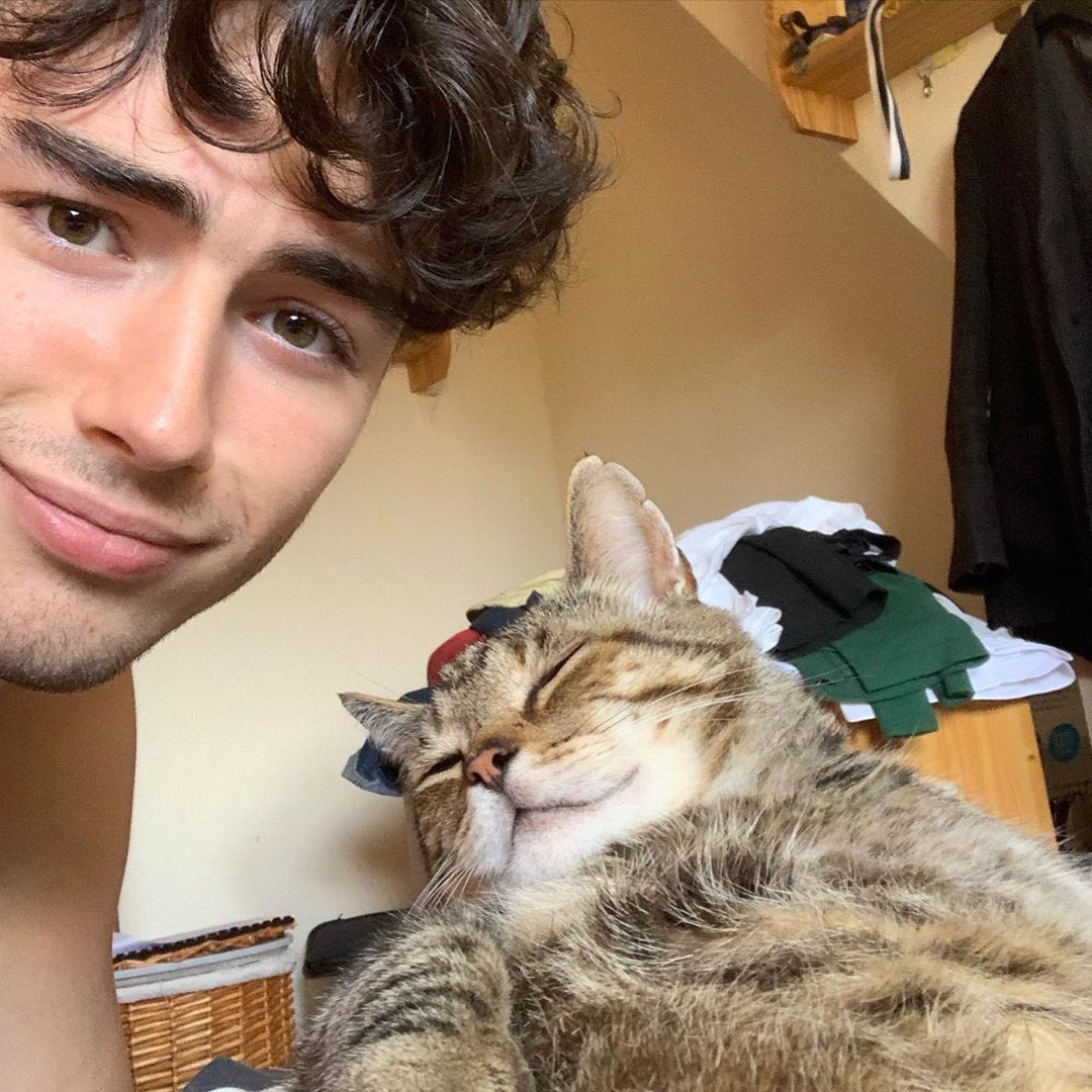 แมวใครมาเก็บกลับห้องหน่อยครับ