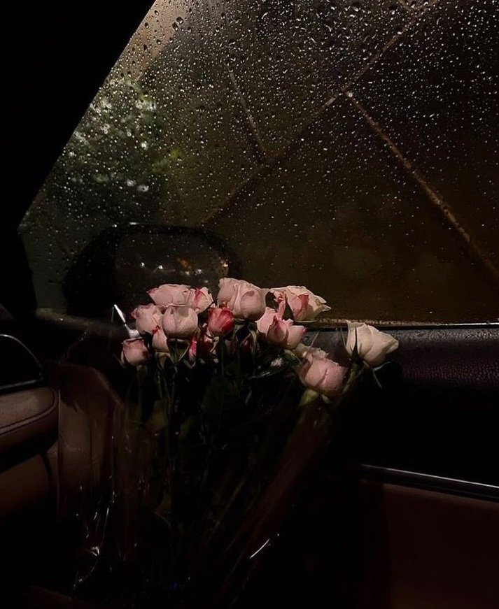 Yağmur güller ve Günaydınlar..!🌧