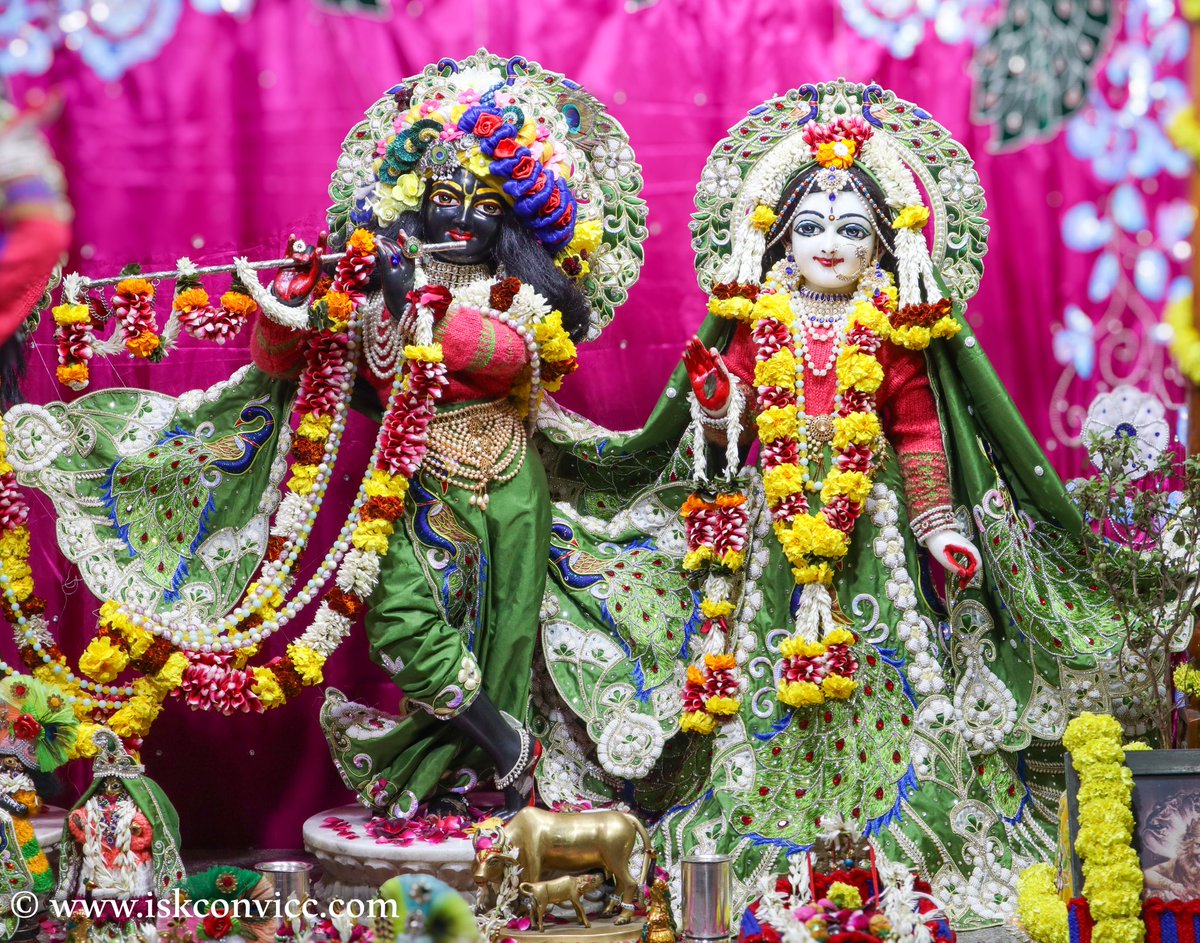 iskconvicc's tweet photo. Śrī Śrī Radha Gopal Darshan - 16/1/2024 @iskconvicc
#dailydarshan #srisriradhagopal #iskconvaranasi
#iskconvicc #radheshyam #krishnabalram #sitaram
#iskcomdwarka #iskconpune #iskconprayagraj
#iskconkanpur #iskconpatna
#iskconjuhu #sobeautiful #blissfuldarshan
#16thjan #winter https://t.co/fr6glz4rzy