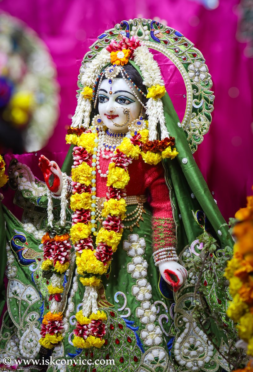 iskconvicc's tweet photo. Śrī Śrī Radha Gopal Darshan - 16/1/2024 @iskconvicc
#dailydarshan #srisriradhagopal #iskconvaranasi
#iskconvicc #radheshyam #krishnabalram #sitaram
#iskcomdwarka #iskconpune #iskconprayagraj
#iskconkanpur #iskconpatna
#iskconjuhu #sobeautiful #blissfuldarshan
#16thjan #winter https://t.co/fr6glz4rzy