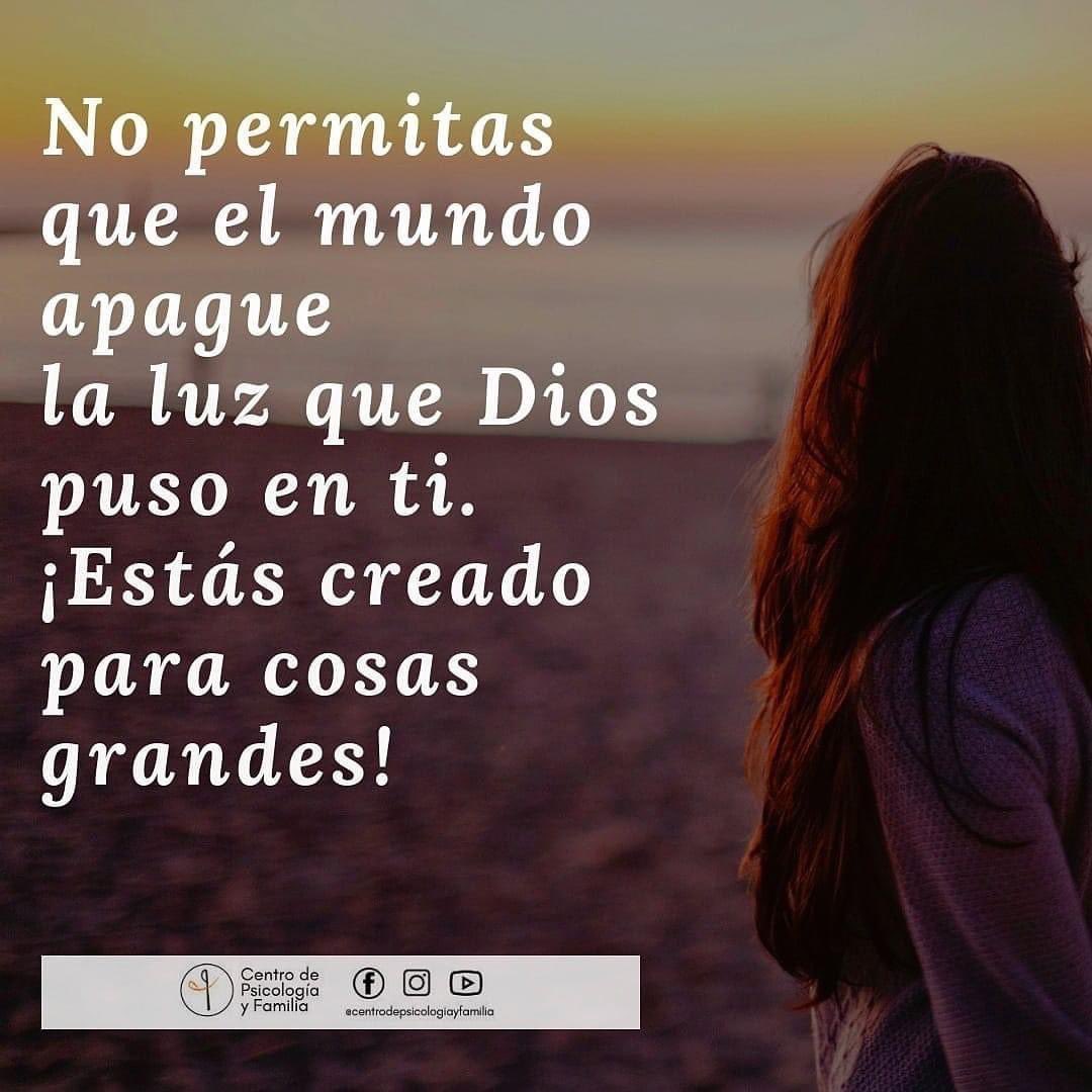 PsFeyuk's tweet photo. https://t.co/dWqnZ2DbtD