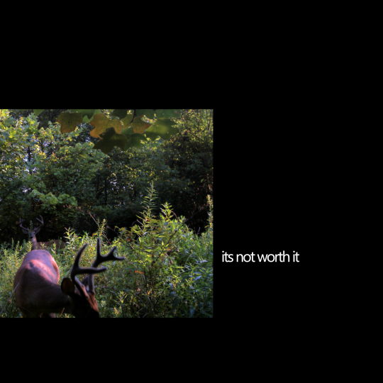 baqof's tweet image. 