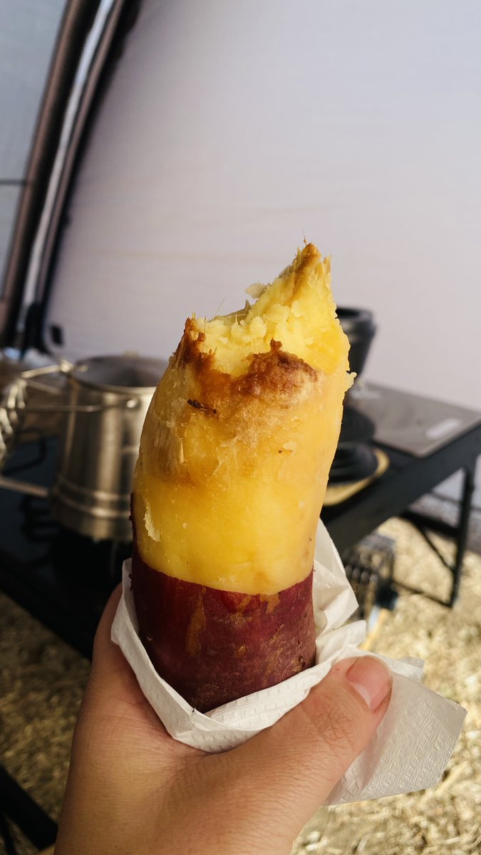 machu_camp's tweet photo. キャンプ始め。
新幕初張り
毎年キャンプ始めは焼き芋から🍠
今年も宜しくお願いします☺️
#キャンプ好きな人と繋がりたい 
#キャンプ 
#キャンプ飯 
#ラーテルワークス 
#ボーデン 
#焼き芋 https://t.co/r8979TOvpH