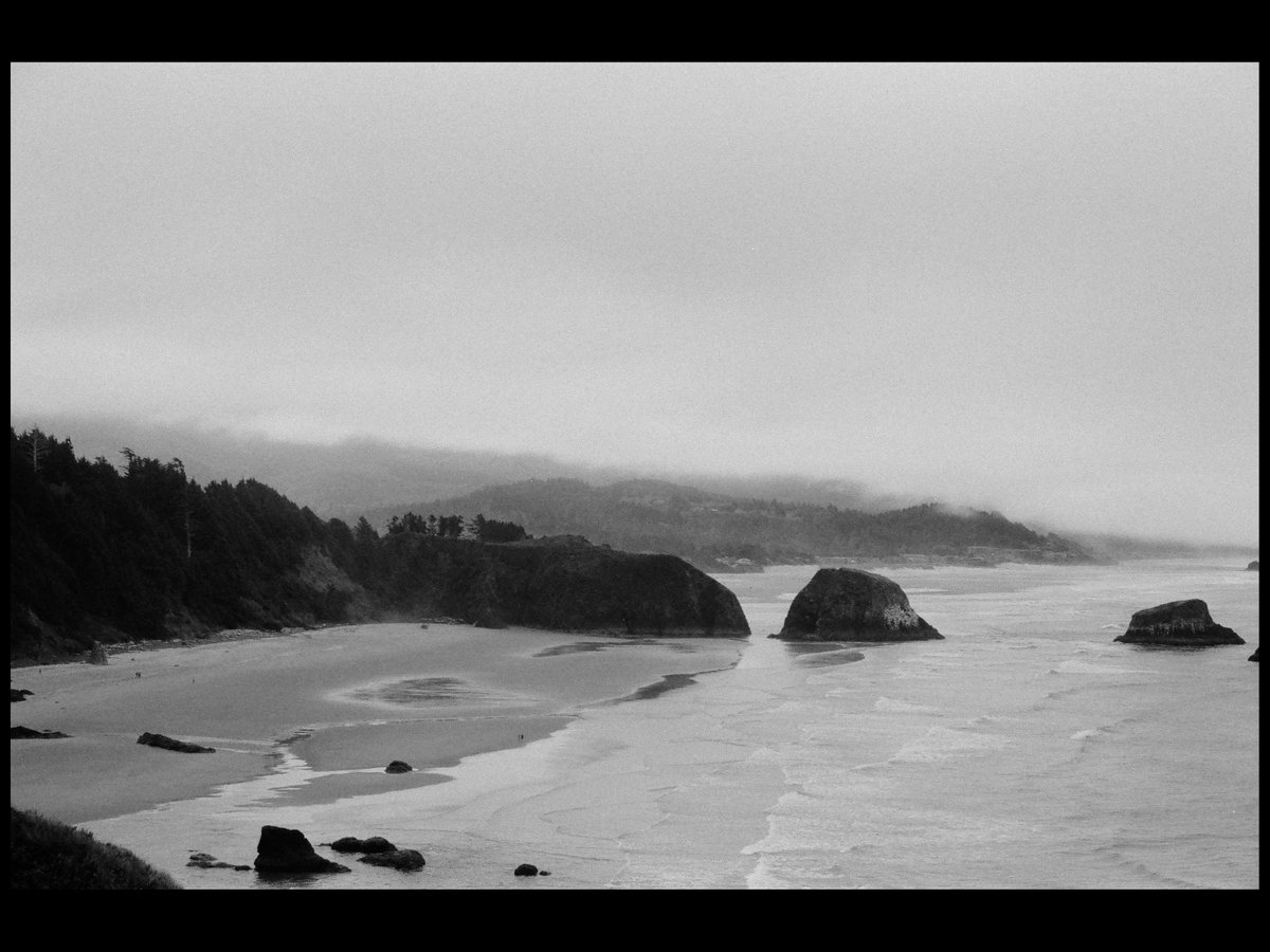 baqof's tweet image. 