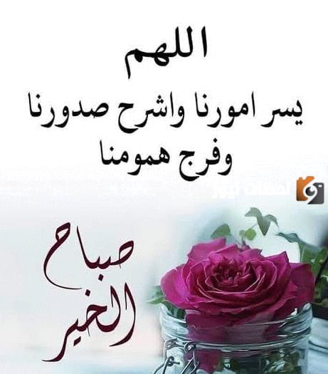 عبد العزيز tweet media