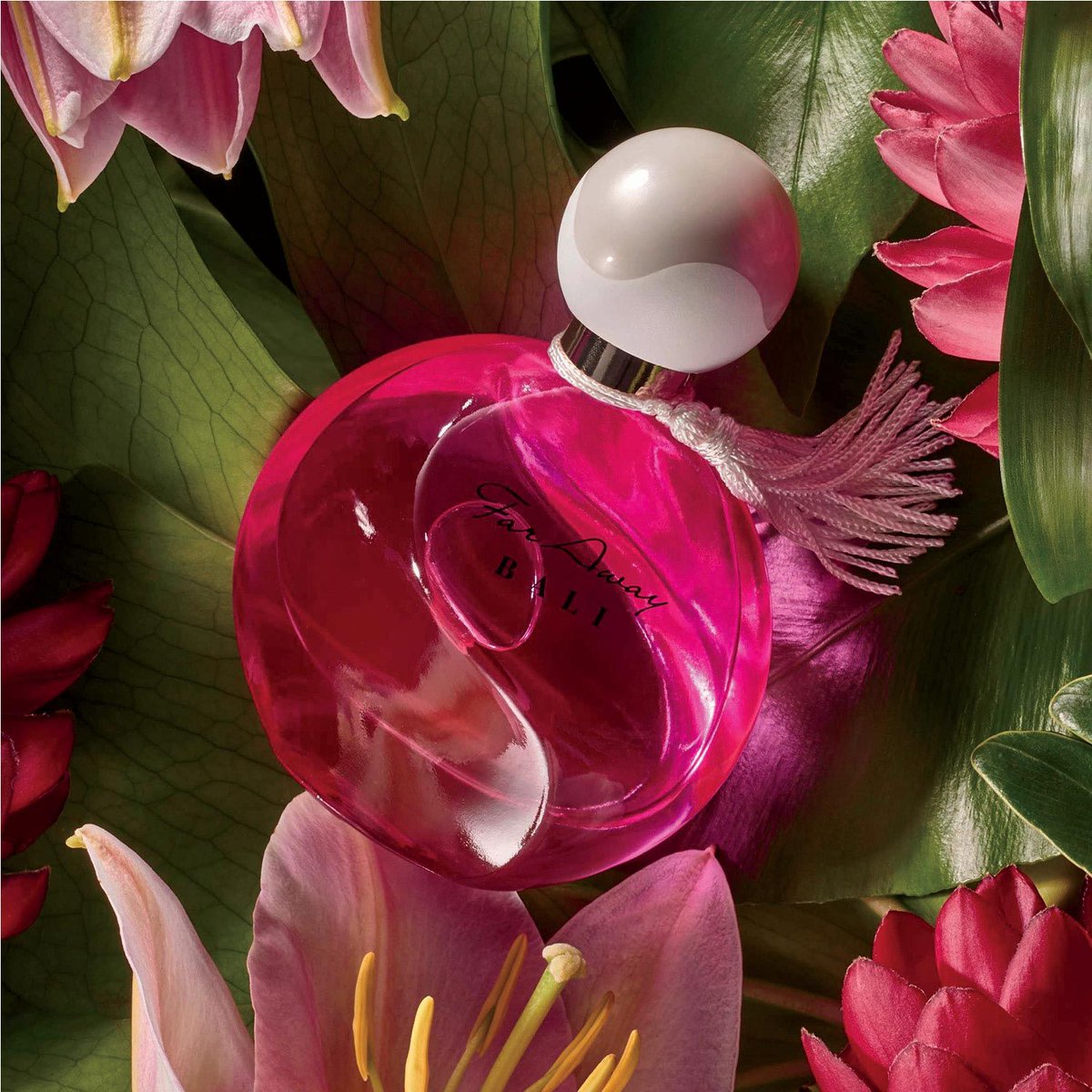 4FreeShipping's tweet photo. ❤️🦋☘️🐰🌼Flowers in #bloom #blooming #garden #spring #jazzmusic #spring202... https://t.co/P4SK3E9edh via @YouTube 
🌼Flowers in #bloom #blooming #garden #spring #jazzmusic #spring2024 #butterfly #flowers #tulips #roses #wisteria #birds #fountains #windmill #hydrangeas https://t.co/2sMJbF59xh